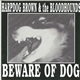 Harpdog Brown & The Bloodhounds - Beware of Dog